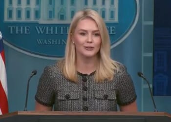 Karoline Leavitt Puts Reporter in Their Place Over Trump Tariff War (VIDEO) | The Gateway Pundit